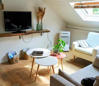 Bagneres-de-Bigorre Apartment | Studio 14 Un véritable cocon en Centre Ville