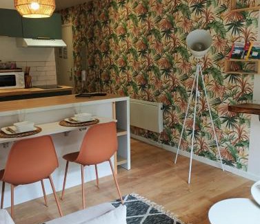 Bagneres-de-Bigorre Apartment | Studio 14 Un véritable cocon en Centre Ville