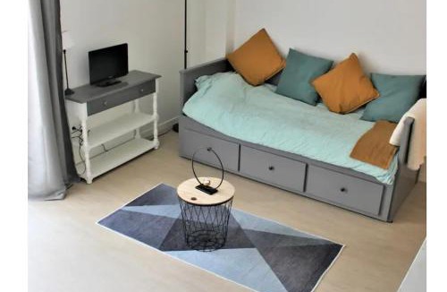 Anatole France Danton Apartment | Studio 18