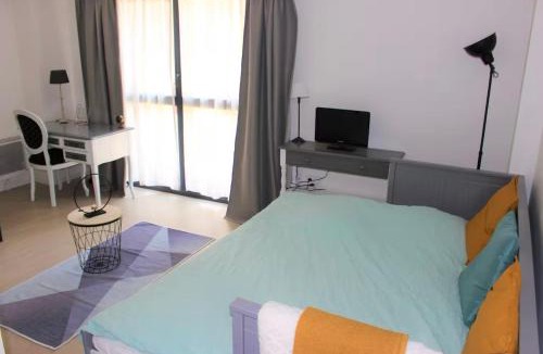 Anatole France Danton Apartment | Studio 18