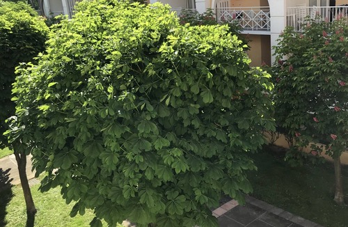 Lamalou-les-Bains Apartment | Studio 2° comfort