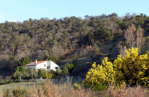Ceret Apartment | Studio 2 people in the countryside with direct access to the pool and garden.