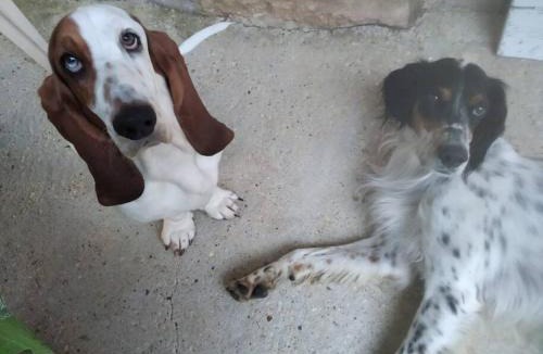 Marboz Apartment | studio 2 spacieux 1à4 pers