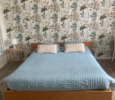 La Roche-sur-Yon Apartment | Studio 20 m2-Proche gare