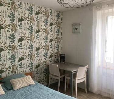 La Roche-sur-Yon Apartment | Studio 20 m2-Proche gare