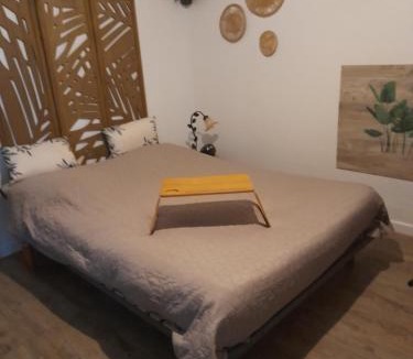 Lemasson Apartment | Studio 23 m2, proche centre, calme, WIFI, pk