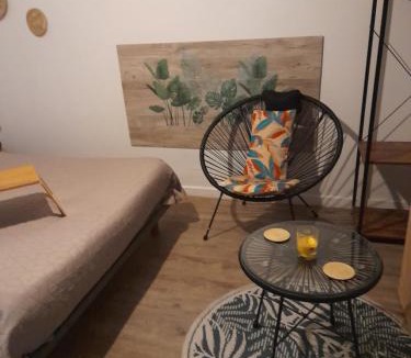 Lemasson Apartment | Studio 23 m2, proche centre, calme, WIFI, pk