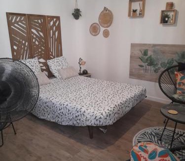 Lemasson Apartment | Studio 23 m2, proche centre, calme, WIFI, pk