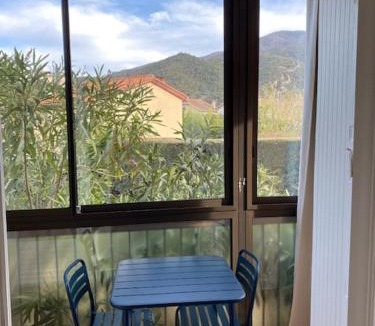 Amelie-les-Bains-Palalda Apartment | Studio 33 m2 , climatisé, parking extérieur privé gratuit