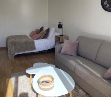 Amelie-les-Bains-Palalda Apartment | Studio 33 m2 , climatisé, parking extérieur privé gratuit