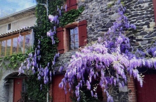 Saint-Martin-le-Superieur Apartment | Studio 4 people with water room