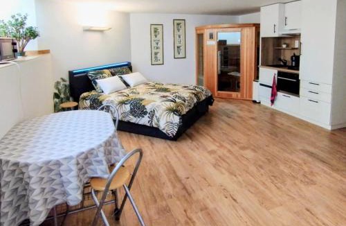 Mittelhausbergen Apartment | Studio 40 m2 avec sauna proche de Strasbourg