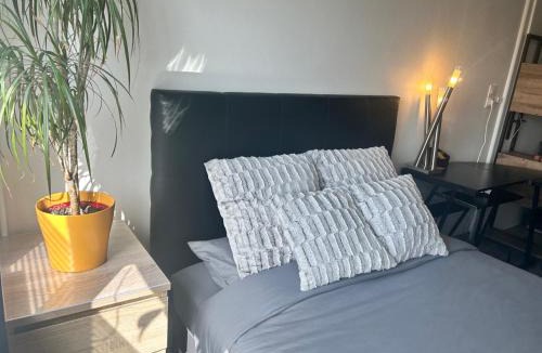 Basse-Ham Apartment | Studio 40m2 Quartier Résidentiel à 7mn Thionville et proche CNPE