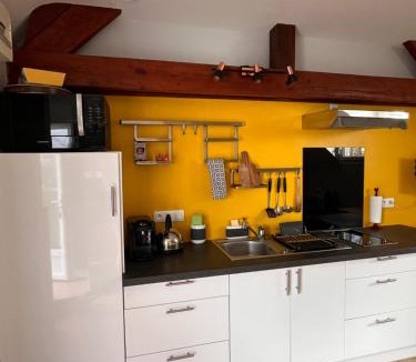 Roseraie - Orgemont Apartment | Studio 61
