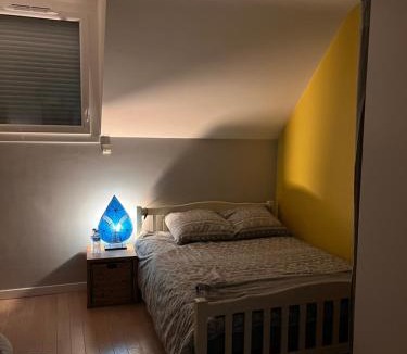 Roseraie - Orgemont Apartment | Studio 61