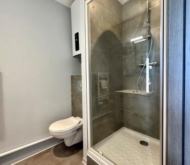 Vandoeuvre-les-Nancy Apartment | Studio 65 Rénové et Équipé - Nancy Brabois proche CHRU,CESI,FAC