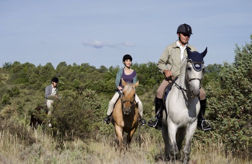 Rouret Apartment | Studio Abordable avec Terrasse!