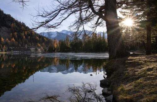 Champex-Lac Apartment | Studio Alpes et Lac 14 by Interhome