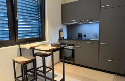 Beinwil am See Apartment | Studio am See