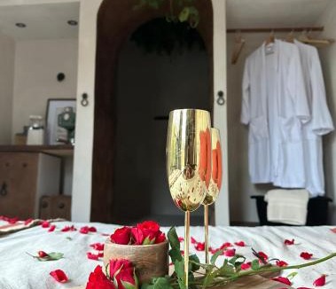 Fretin Apartment | Studio amor