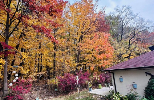 Milton House | Studio Annex Close to Falls, Ski resort, Lake and Conservation.