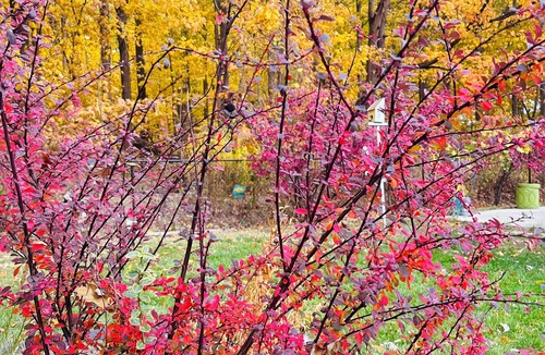 Milton House | Studio Annex Close to Falls, Ski resort, Lake and Conservation.
