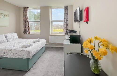 Hailsham Apartment | Studio Apartment 21 - Uk48724