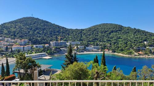 Babin Kuk Apartment | Studio apartment (Gudelj) with big terrace, sea view, free parking