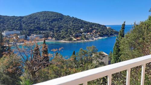 Babin Kuk Apartment | Studio apartment (Gudelj) with big terrace, sea view, free parking