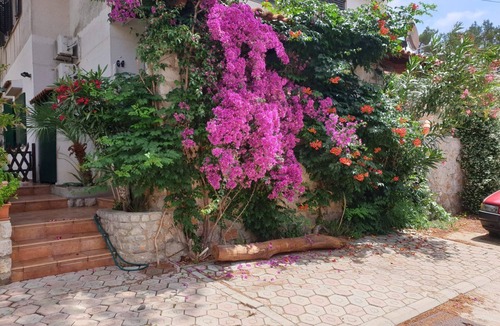 Artatore Apartment | Studio apartment in Mali Lošinj with Terrace, Air condition, WIFI (4913-2)