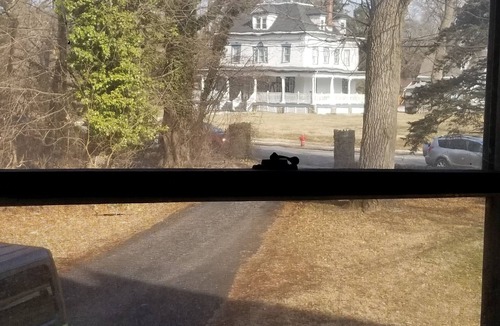 Langhorne Apartment | Studio Apartment in Victorian Mansion.