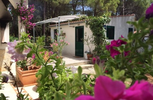 Veli Rat Apartment | Studio apartment in Veli Rat with Seaview, Balcony, Washing machine (882-1)