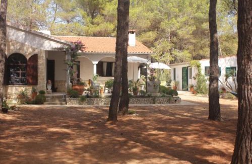 Veli Rat Apartment | Studio apartment in Veli Rat with sea view, balcony, washing machine 882-1