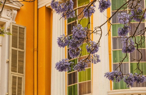 Carabacel Apartment | Studio Apartment 'Kipling' with Wi-Fi and Air Conditioning