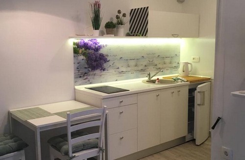 Opatija Apartment | Studio Apartment Sisi