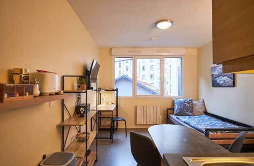 Quartier Hyper-Centre Apartment | Studio Apartment 'Studio Grenoble' with Mountain View and Wi-Fi