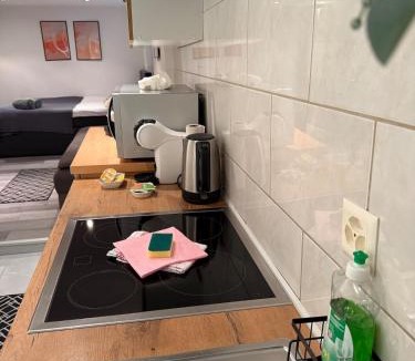Romanshorn Apartment | Studio apartment with Whirlpool on Lake Constance with free parking