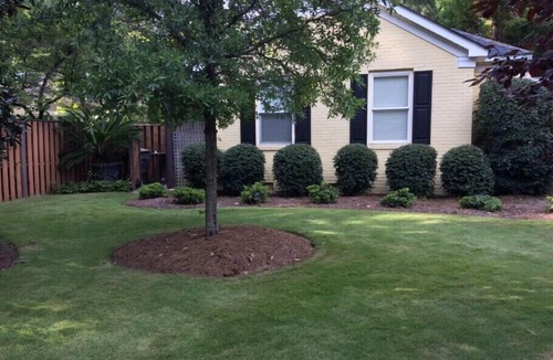 Forest Acres Apartment | Studio apartment with a separate, private entrance