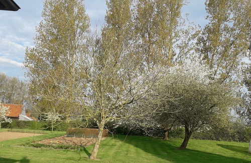 Wavrans-sur-l'Aa Apartment | STUDIO Appart gite Petite Halte,. work, vacation.