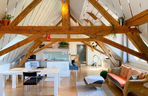 Wangenried Apartment | Studio Arn's Dachstudio by Interhome
