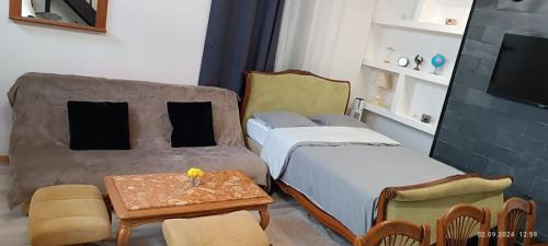 Bar-sur-Aube Apartment | studio Artur 1