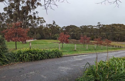 Beechworth Apartment | Studio at Beechworth next to the forest. Pet friendly but please let us know. n.