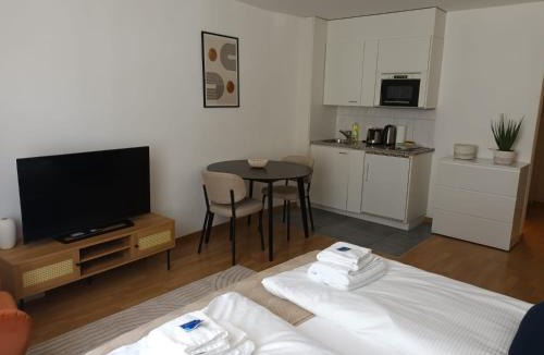 Old Town Apartment | Studio at famous Storchengasse - Stork 44