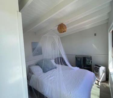 Opito Bay House | Studio at Otama Beach -Pohutakawa