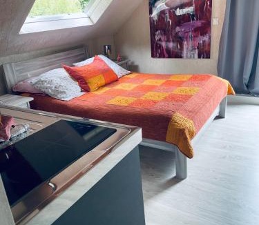 Aillieres-Beauvoir Bed & Breakfast | Studio au bord de la forêt de Perseigne