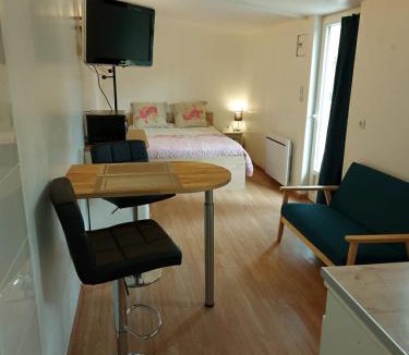 Castres Apartment | studio au calme wifi 600m centre ville parking privé