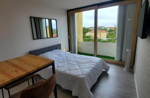 Albi Apartment | Studio avec balcon, vue sur jardins et cathédrale