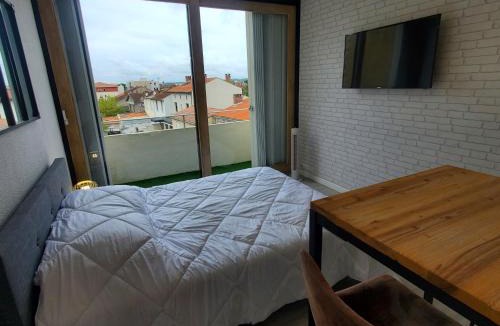 Albi Apartment | Studio avec balcon, vue sur jardins et cathédrale