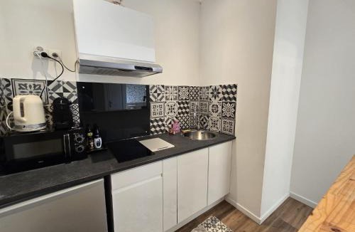 Tarbes Apartment | Studio, avec cuisine et salle de bain face au Jardin Massey