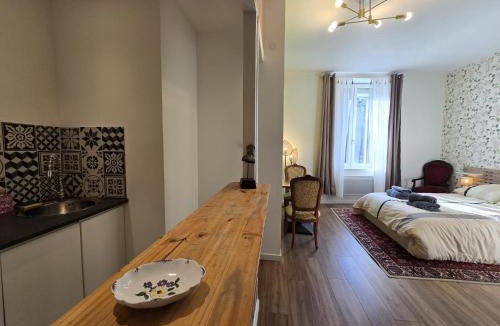 Tarbes Apartment | Studio, avec cuisine et salle de bain face au Jardin Massey